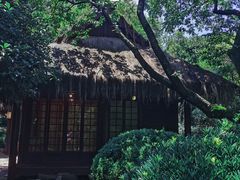 -中国茶叶博物馆(双峰馆区)