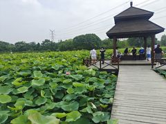 -梁鸿国家湿地公园