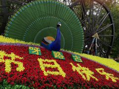 -呀路古热带植物园