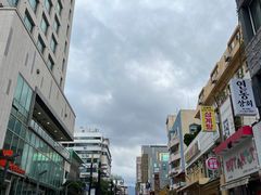 -宝健路步行街(Pedestrian Shopping Street)