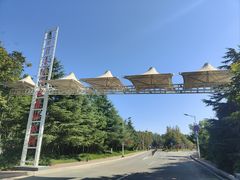 -日照海滨国家森林公园
