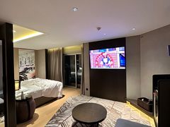 -新加坡瑞士史丹福酒店