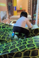 -卡通尼·Safari非洲探索乐园·生日会(金桥国际商业广场店)