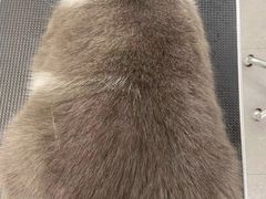 -comecome来吧宠物(奥克斯中心店)