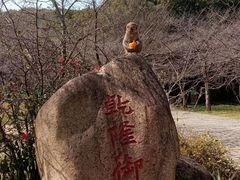-苏州上方山国家森林公园