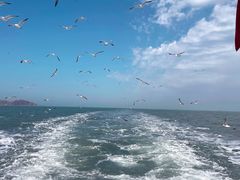 -海驴岛(荣成市)