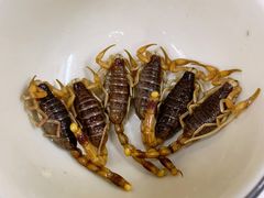 蝎子党参乌鸡汤-国英炖品店(甲子路店)