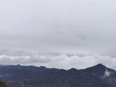 -武陵山森林公园