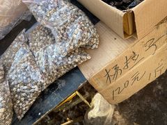 -蒲河大集