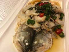 -常胜鲍鱼(吉大店)