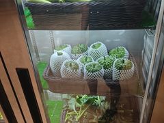-客家汇·客家传承菜(水库店)
