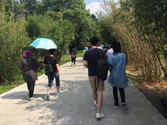 -藏龙百瀑风景区