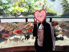 -太平洋海底世界