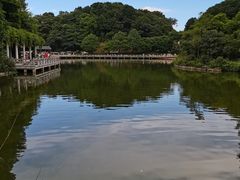-广州市帽峰山景区
