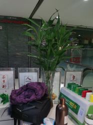 -诗碧曼养发