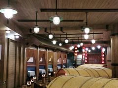 -老船坞水上餐厅(亚洲大酒店  东四十条店)