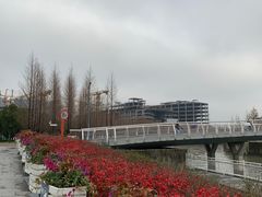 -上海山野camping·户外天幕烧烤·团建拓展营地