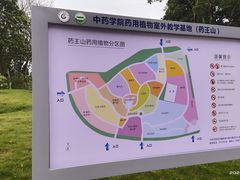 -广东中医药博物馆