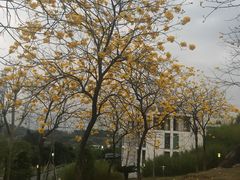 -中国移动南方基地