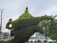 -荷兰花海