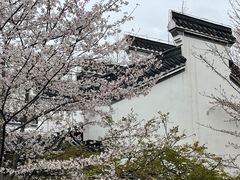 -堤角公园