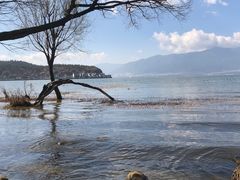 -大理洱海