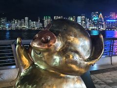 -星光大道