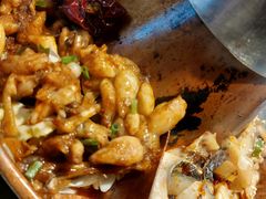 -老佛爷铜炉蛙锅(揭阳万达店)