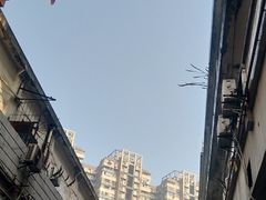 -武汉关码头(轮渡站)