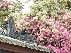 -深圳国际园林花卉博览园