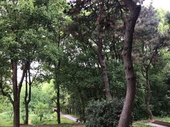 -东湖落雁景区