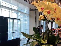 -上海佘山世茂艾美酒店