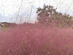 -中国天府农业博览园