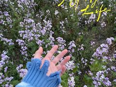 -RiceZone乐食尊纯米面包坊(望京店)