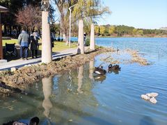 -昆山城市生态森林公园