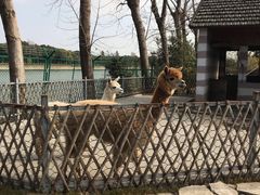 -太阳岛度假酒店