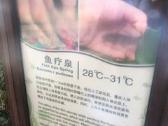 -三亚珠江南田温泉度假区