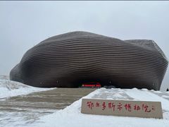 -鄂尔多斯博物馆