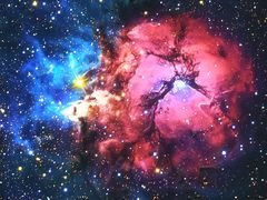 -辽宁古生物博物馆
