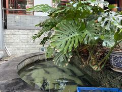 -燕北云山·农家菜·灶台鱼(密云溪翁庄店)