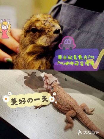 遛娃大作战，宠萌等你来
