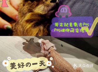 遛娃大作战，宠萌等你来