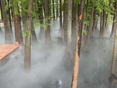 -东湖落雁景区