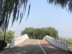 -好伦哥比萨烤肉自助(八里桥店)
