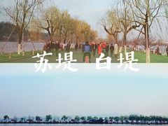 -西湖外事游船(花港观鱼码头)