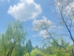-杭州植物园