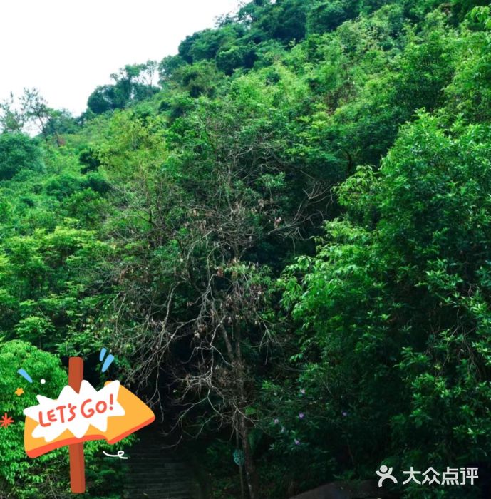 广州白江湖森林公园图片