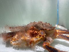 -樱之盛宴·蟹料理海鲜自助(前进大街店)