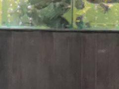 -丹江渔村(首都机场店)