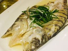 -老船夫婚宴婚庆会馆(延吉路店)